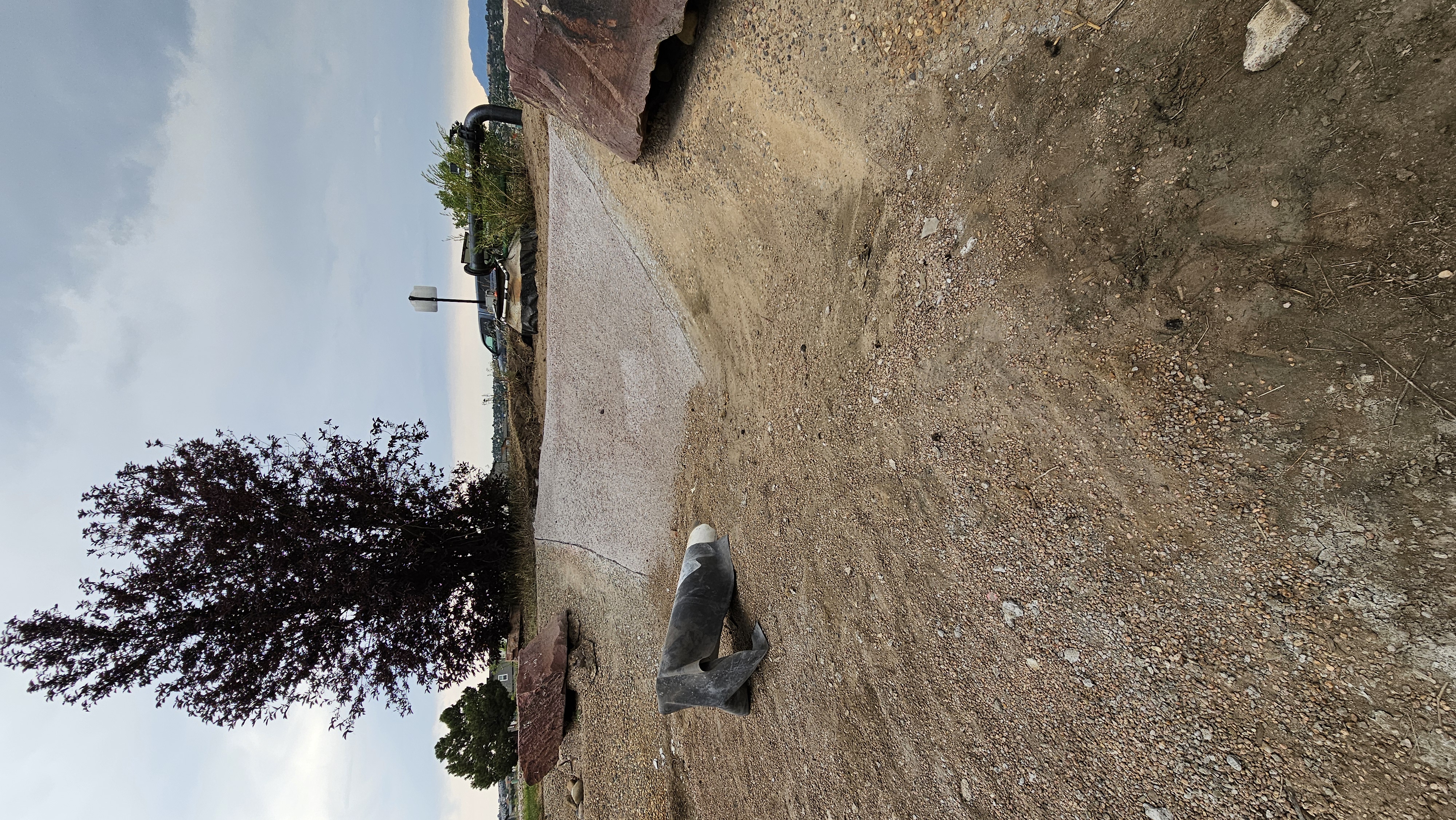 Pond restoration project - overview