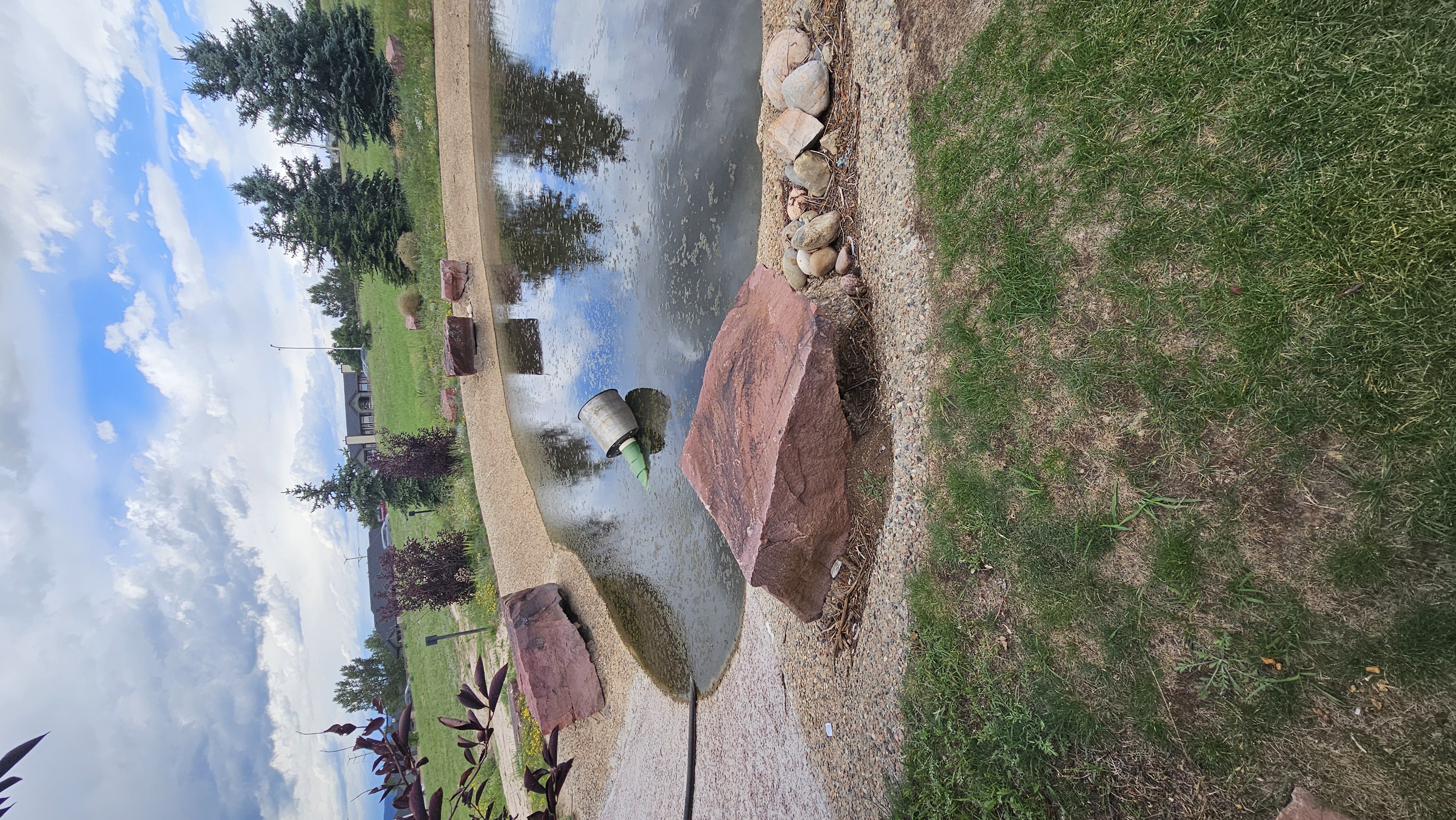 Pond restoration in progress