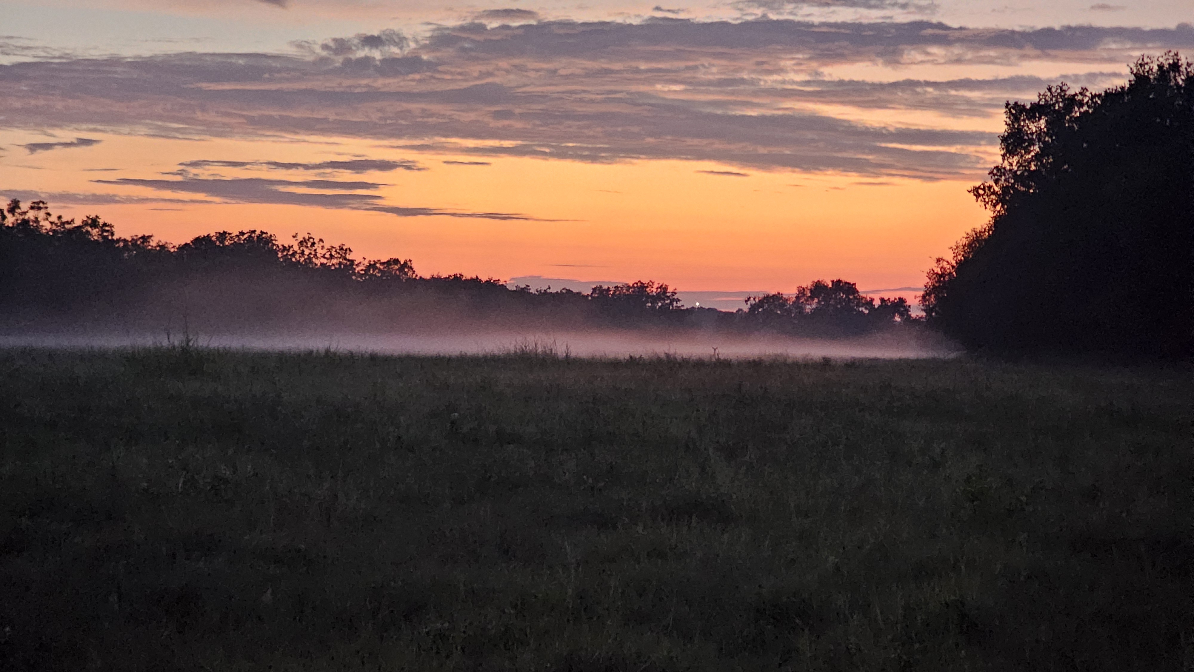 Fog over the landscape in Bell County, Texas